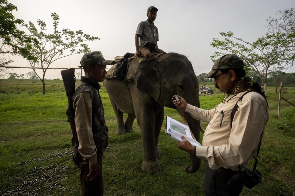 An enumerator checks his GPS before leaving for a rhino census count exercise at Kaziranga national park, in the northeastern state of Assam, India, Sunday, March 27, 2022. Nearly 400 men using 50 domesticated elephants and drones scanned the park’s 500 square kilometers (190 square miles) territory in March and found the rhinos' numbers increased more than 12%, neutralizing a severe threat to the animals from poaching gangs and monsoon flooding. (AP Photo/Anupam Nath)