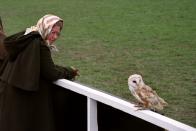 <p>Queen Elizabeth II keeps a close eye on a Barn Owl which landed close to her as she watched a flying display of birds of prey during a visit to the Royal Windsor Horse Show. (PA Archive) </p>