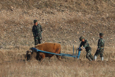 North Korean soldiers plow the land with an ox from the North Korean side of the Yalu River, as a Chinese boat sails by with tourists, near Sinuiju in North Korea and Dandong in China's Liaoning Province, April 13, 2017. REUTERS/Aly Song