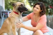 woman touching Belgian Malinois best dog breeds for capricorn