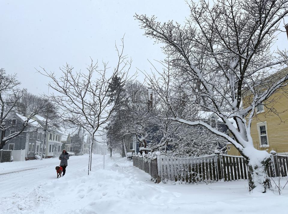 A person walks a dog as snow falls in Portsmouth, N.H., Sunday, Jan. 7, 2024. A major winter storm bringing up to a foot of snow and freezing rain to some communities spread across New England Sunday sending residents scurrying to pull out their shovels and snow blowers to clear sidewalks and driveways. Winter storm warnings and watches were in effect throughout the Northeast, and icy roads made for hazardous travel as far south as North Carolina. (AP Photo/Caleb Jones)