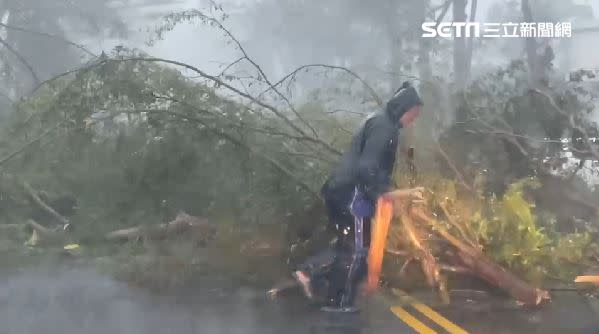 用路人努力將樹木搬開。（圖／翻攝畫面）