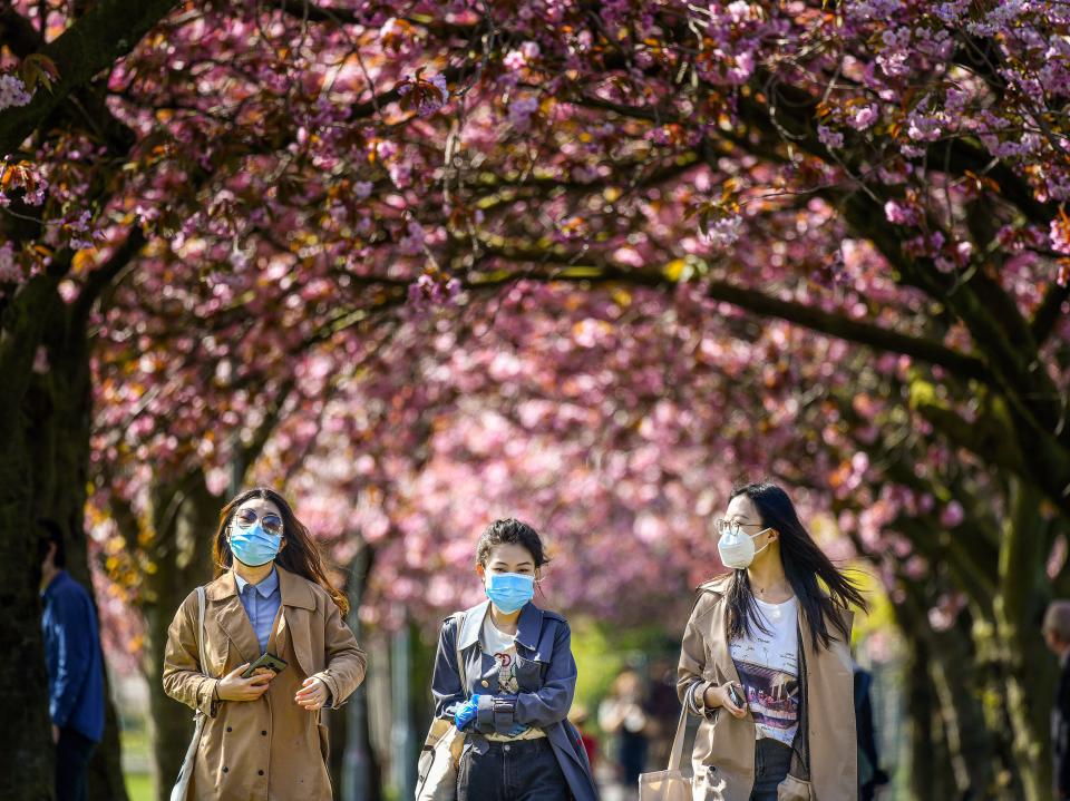 <p>Blossoming tree circles will be planted across the UK “to help signal reflection and hope” after the Covid-19 pandemic</p> (Jeff J Mitchell/Getty Images)