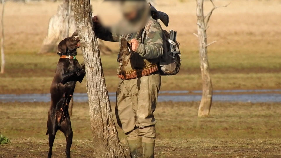 A video image alleging a hunter was blooding his dog after shooting the duck. Source: Supplied