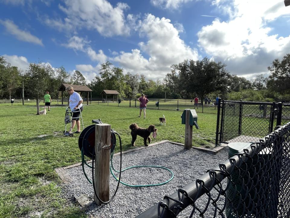Waggin' Trails Dog Park at disney campgrounds