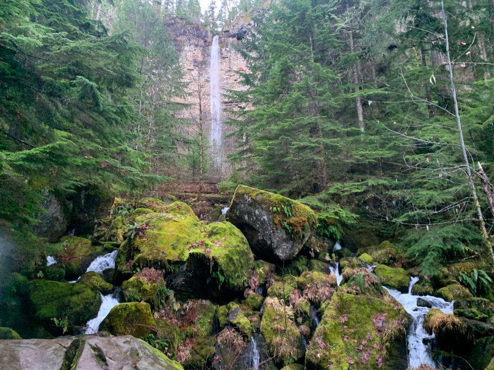 Watson Falls is one of Oregon's tallest and most impressive waterfalls at 272 feet tall. It's located in the North Umpqua Canyon.