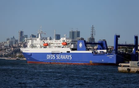 FILE PHOTO: Denmark's DFDS owned Kaunas Seaways is pictured at Haydarpasa port in Istanbul