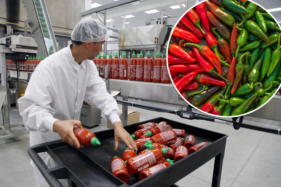 A man in a white shirt and hat holding bottles of Sriracha hot sauce at the Huy Fong Foods factory