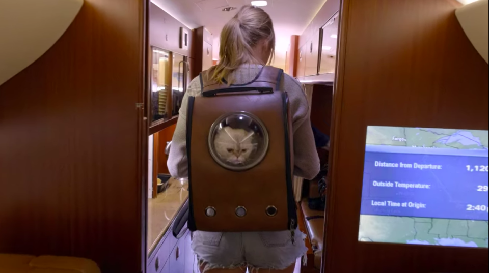 <h1 class="title">Taylor Cat Backpack</h1><cite class="credit">Netflix</cite>