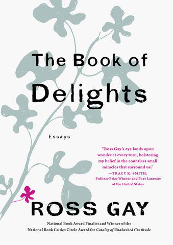 <p>courtesy amazon</p> The Book of Delights by Ross Gay