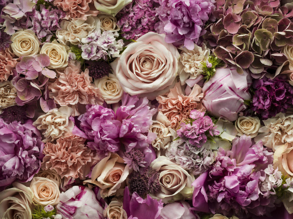 Fresh cut flowers, detail