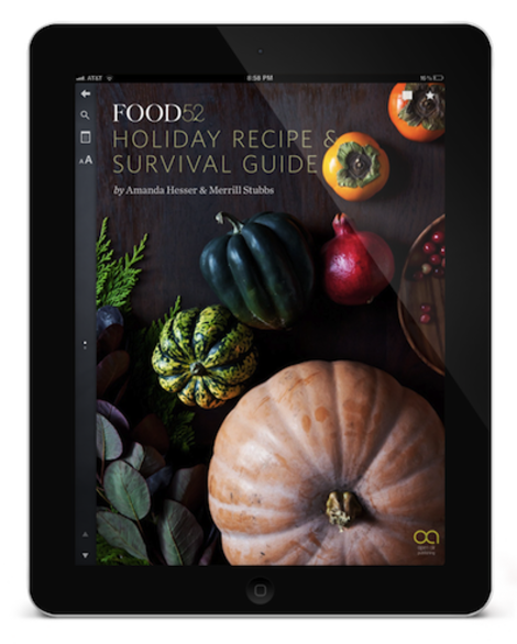 Holiday Recipe & Survival Guide