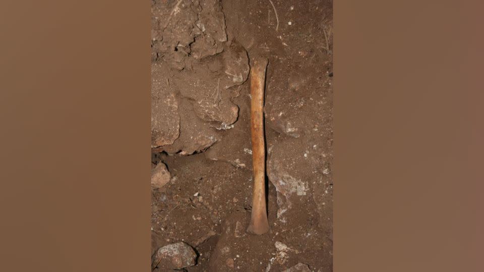 A human bone found inside the cave.  - J.C. Vera Rodríguez