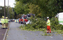 Strong winds cause trees to blow over in Allerton,Liverpool.
