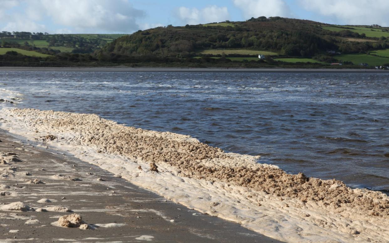 Pollution has been recorded at Welsh river Teifi