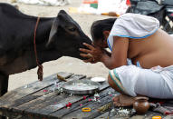 <p>A Hindu devotee offers prayers to a cow after taking a holy dip in the waters of Sangam, a confluence of three rivers, the Ganga, the Yamuna and the mythical Saraswati, in Allahabad, India, Sept. 28, 2016. (Photo: Jitendra Prakash/Reuters) </p>