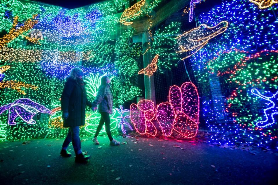 mother and daughter walking hand in hand in front of wall of colorful lights many in the shape of creatures like butterfly, alligator, sloth and more