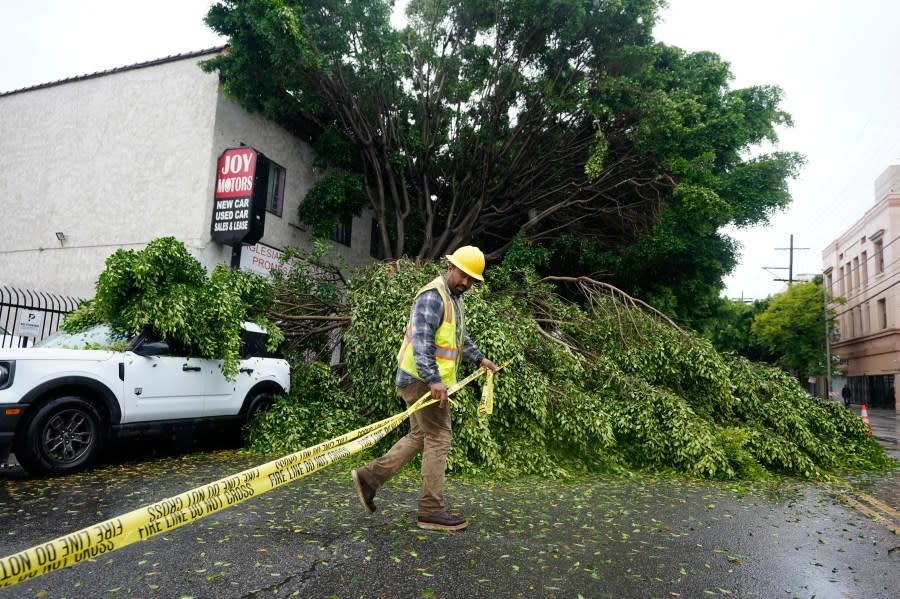 A worker drags caution tape to block off Pico Boulevard after a tree fell, Sunday, Aug. 20, 2023, in Los Angeles. Tropical Storm Hilary swirled northward Sunday just off the coast of Mexico's Baja California peninsula, no longer a hurricane but still carrying so much rain that forecasters said "catastrophic and life-threatening" flooding is likely across a broad region of the southwestern U.S.(AP Photo/Ryan Sun)