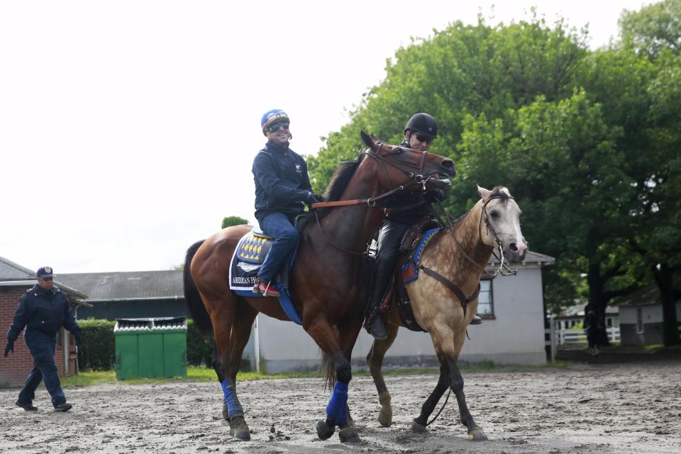 Kentucky Derby and Preakness Stakes winner American Pharoah leaves the track after his morning workout at Belmont Park in Elmont, New York June 3, 2015. REUTERS/Shannon Stapleton