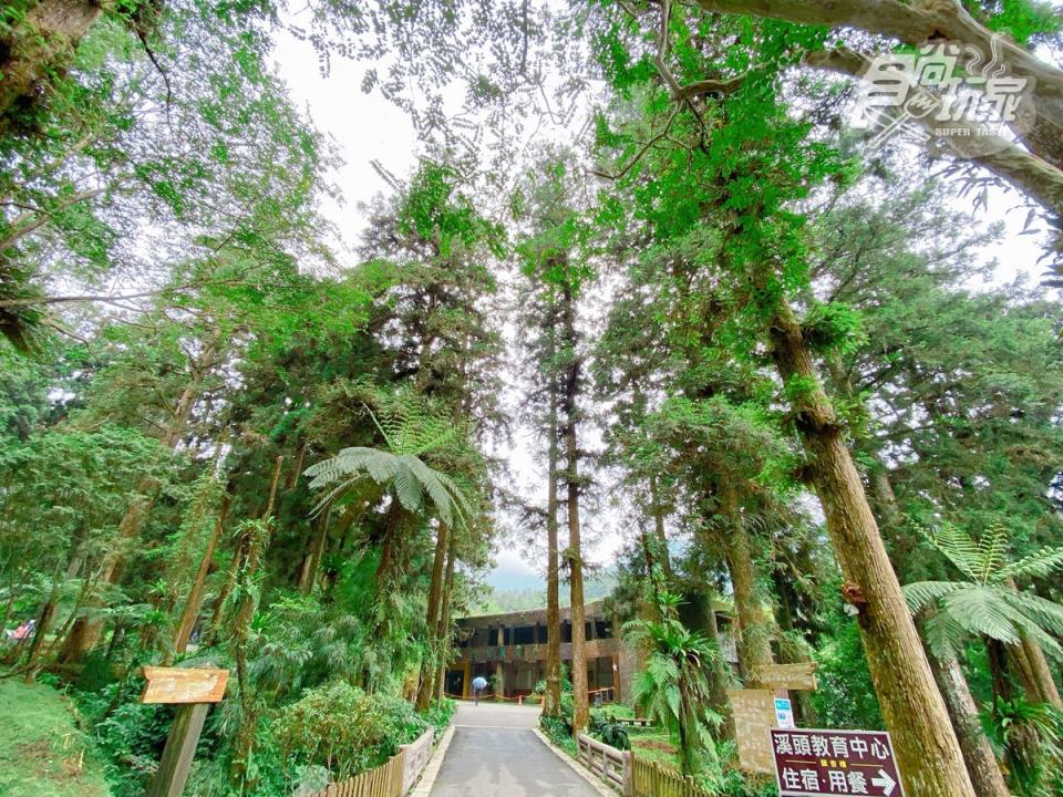 福華飯店進駐森林園區，成為溪頭森林遊樂區內唯一的五星級連鎖飯店！