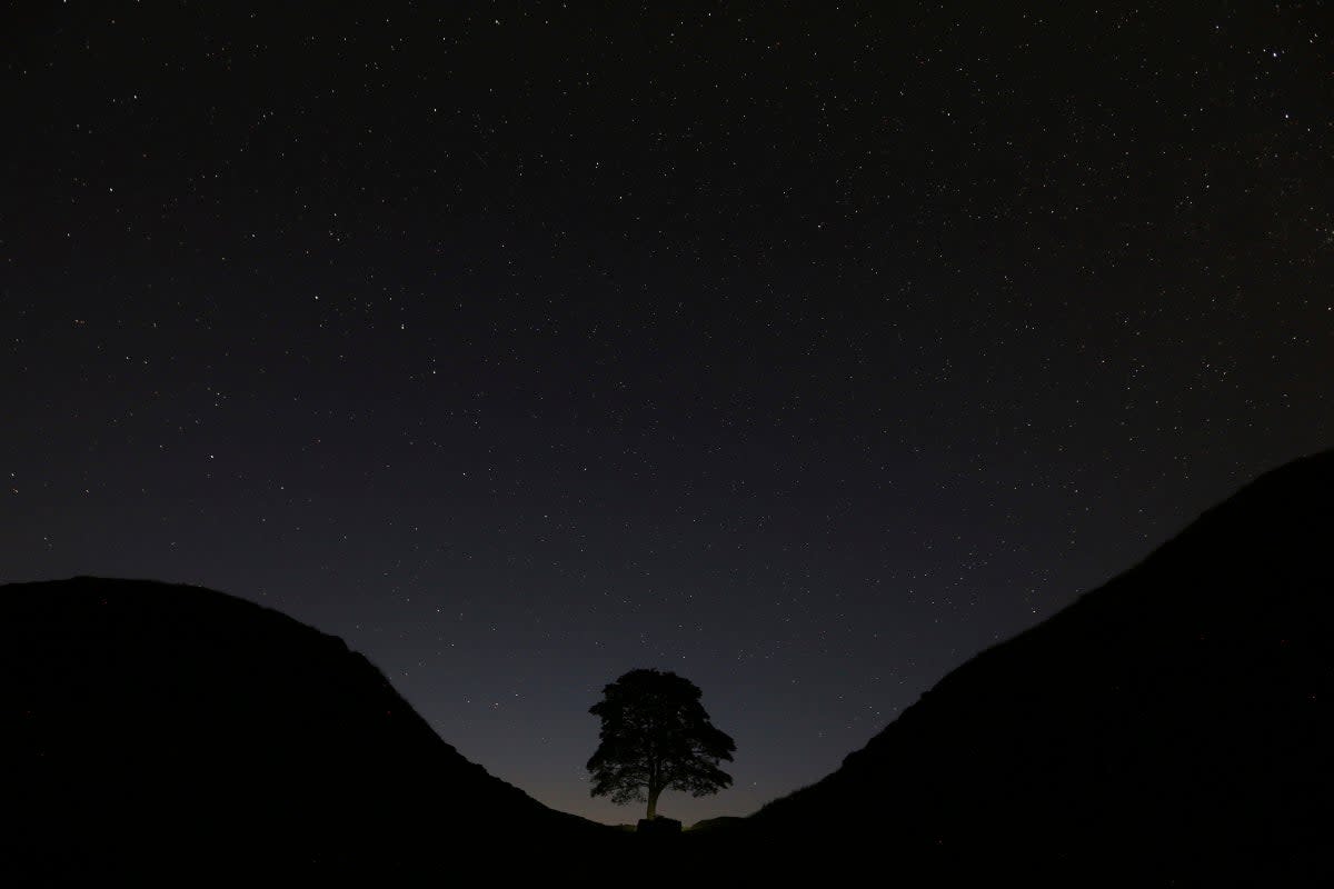 The stars above Sycamore Gap, prior to the Perseid Meteor Shower above Hadrian's Wall near Bardon Mill, England, in August 2015 (Copyright 2023 The Associated Press. All rights reserved.)