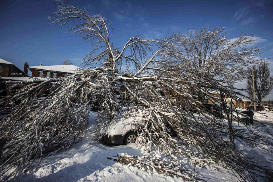 A car is seen under a collapsed tree following an ice storm in Toronto, December 27, 2013. Over 30,000 residents were left without power in Toronto Friday since the storm hit on December 22, local media reported. REUTERS/Mark Blinch (CANADA - Tags: ENVIRONMENT ENERGY SOCIETY)