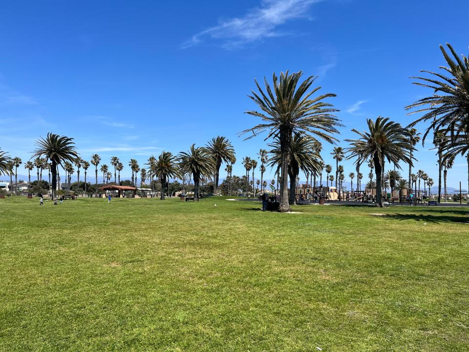 Wind blows through palm trees at Oxnard Beach Park on Wednesday, April 5, 2023.