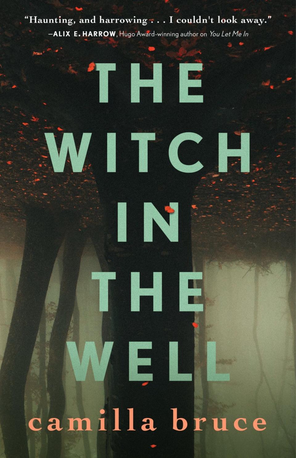 the cover for The Witch in the Well shows a dark forest