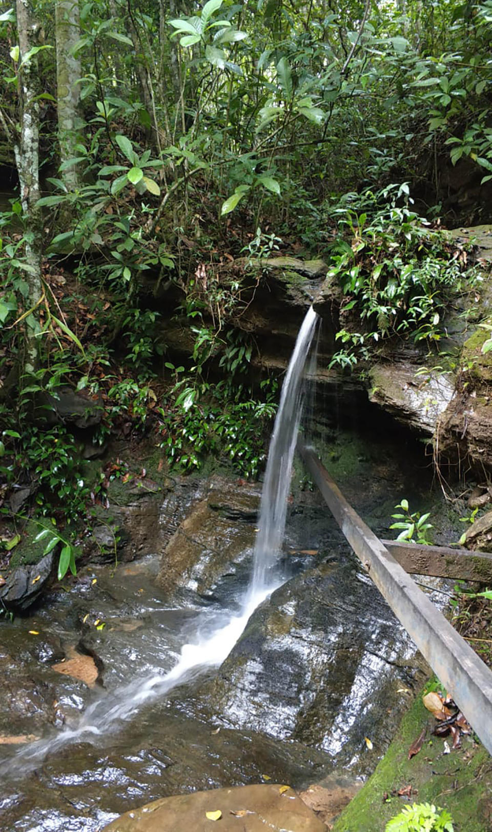 This undated Nov. 2020 photo released by Brazil's Goias state civil police shows the site where police report they recovered the body of Japanese woman Hitomi Akamatsu in Abadiania, Brazil. Brazilian Civil Police arrested 18-year-old Rafael Lima da Costa who they say confessed to killing Akamatsu on Nov. 10 while robbing her. (Goias state civil police via AP)