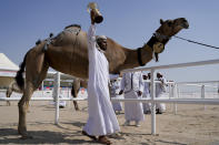 A camel keeper of the alKuwari family celebrates after winning the first prize at a pageant, at the Qatar camel Mzayen Club, in Ash-Shahaniyah, Qatar, Friday, Dec. 2, 2022. (AP Photo/Natacha Pisarenko)