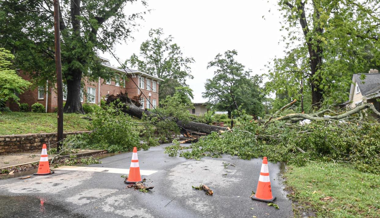 A fallen tree on a power line on Kennedy Street in South Anderson, after an early morning storm came through Anderson County, S.C. Thursday, May 9, 2024.