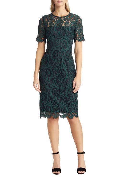 Eliza J Embroidered Lace Overlay Cocktail Dress