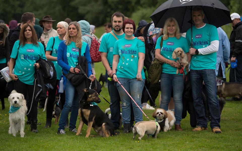 RSPCA sponsored 5k dog walk.600 dogs and 2,000 people will take part in a sponsored 5k walk - Credit: Eddie Mulholland