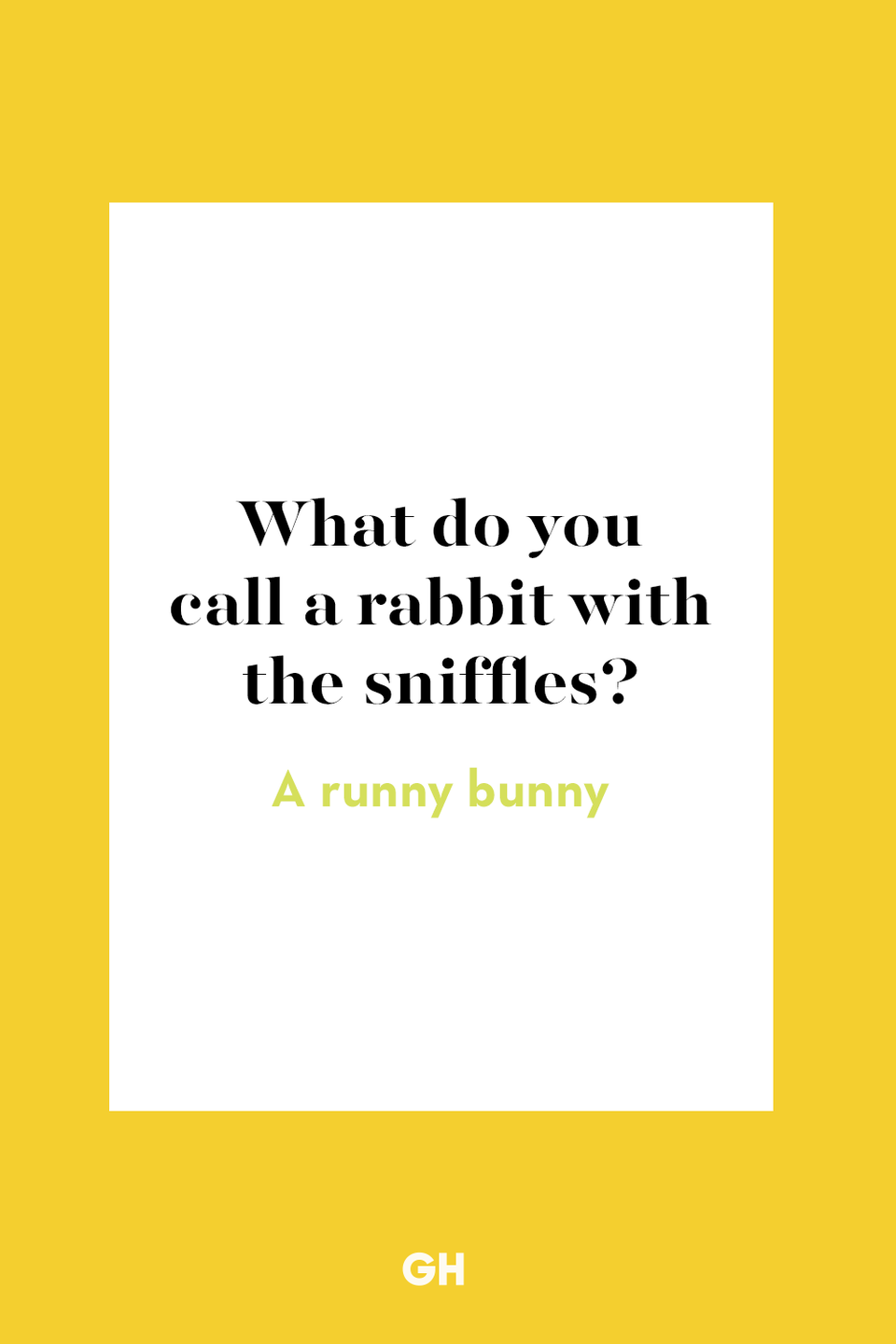 <p>A runny bunny.</p>