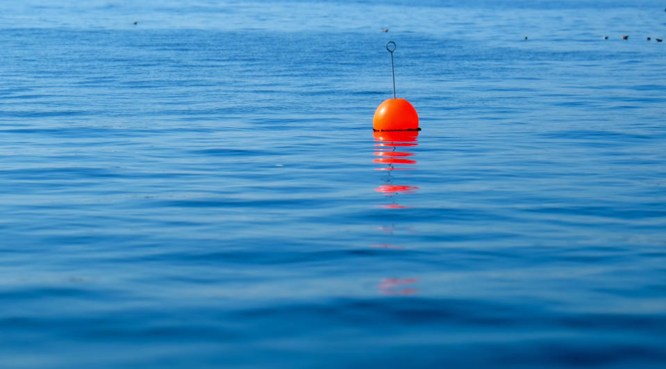 Image: A buoy floating in the sea. (Maria Mollace / Getty Images/EyeEm file)