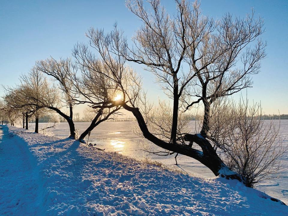 Frosted trees catch the sunrise, reflecting off snowy, frozen Lake Wingra in Madison, Wis., in February 2020.