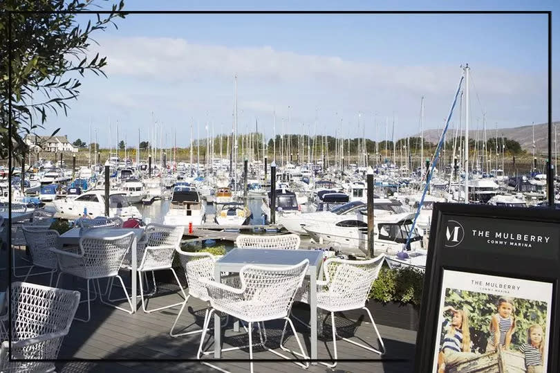 The Mulberry overlooks Conwy Marina and beyond