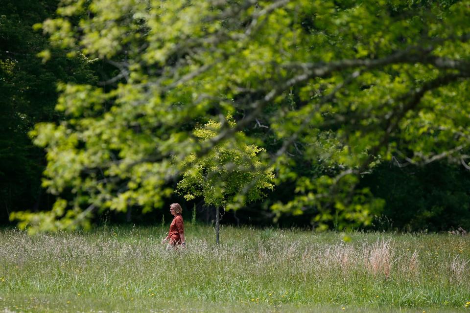 A woman enjoys one of the many trails at the Westport Land Conservation Trust Adamsville Road location as it celebrates its 50th anniversary.