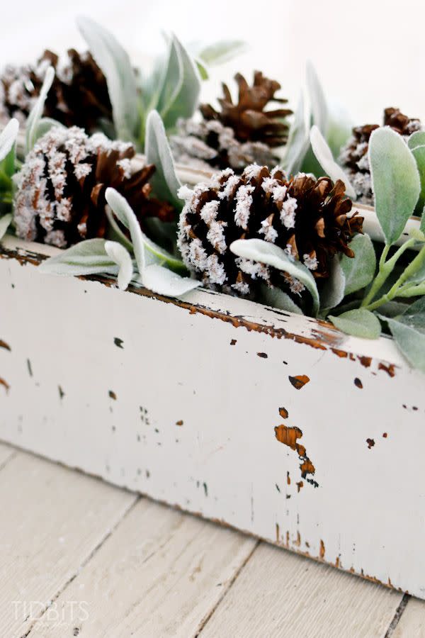 Snow-Covered Pine Cones