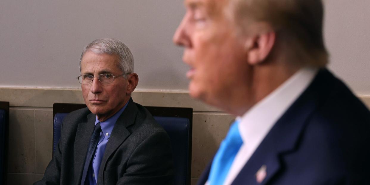 trump fauci