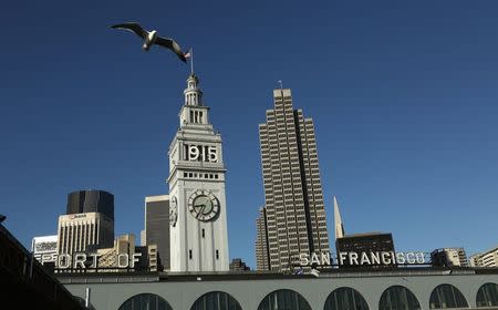 A bird flies above the Ferry Building in San Francisco, California March 5, 2015. REUTERS/Robert Galbraith