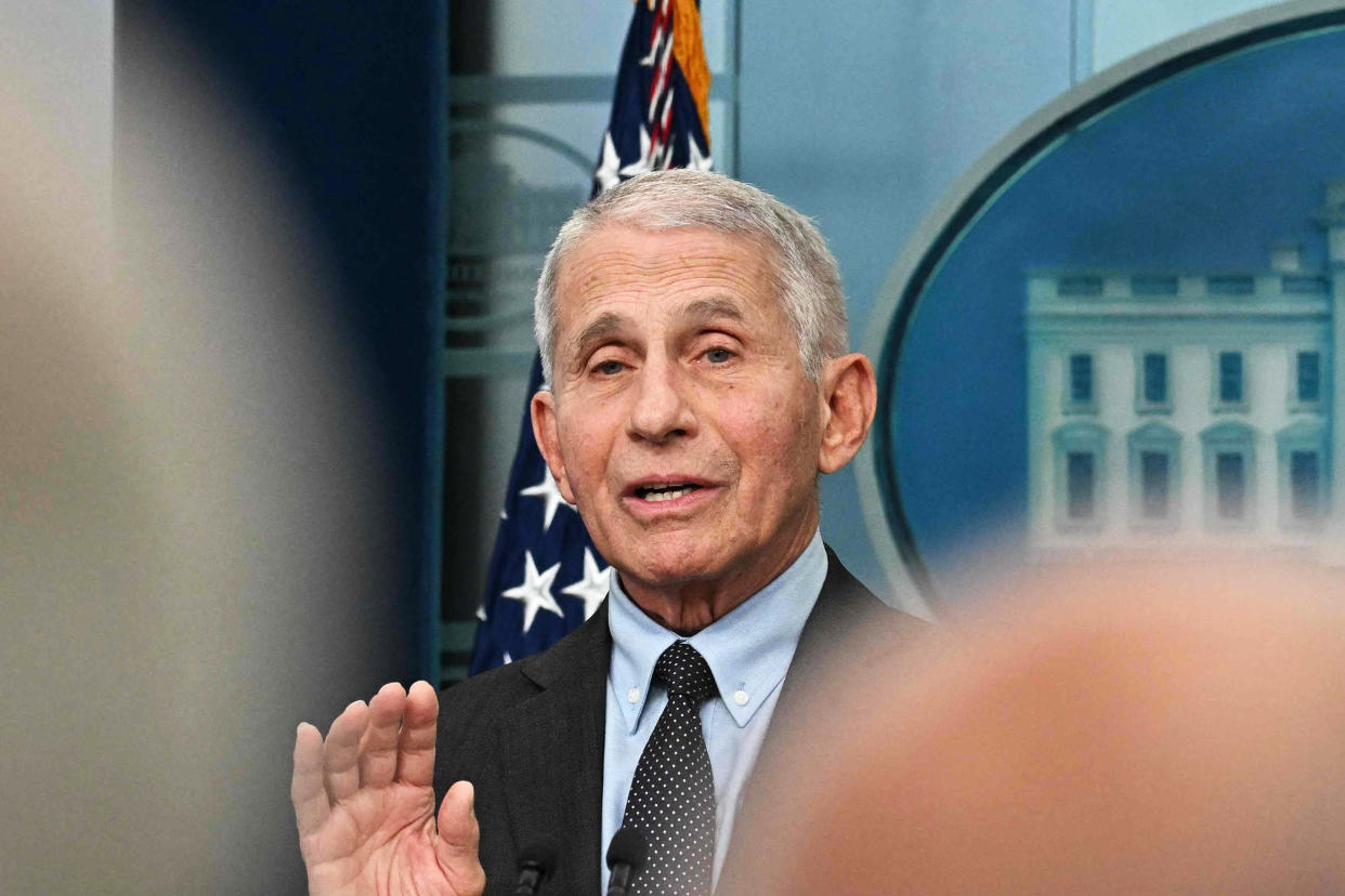 Dr. Anthony Fauci speaks during the daily press briefing in the White House  (Jim Watson / AFP via Getty Images)