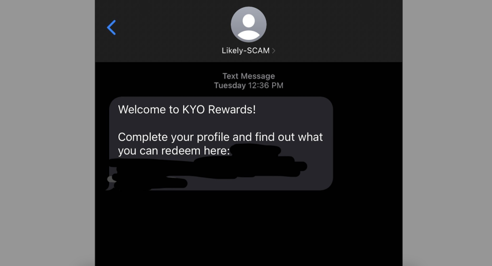 A screenshot of an SMS messages in a scam message thread.