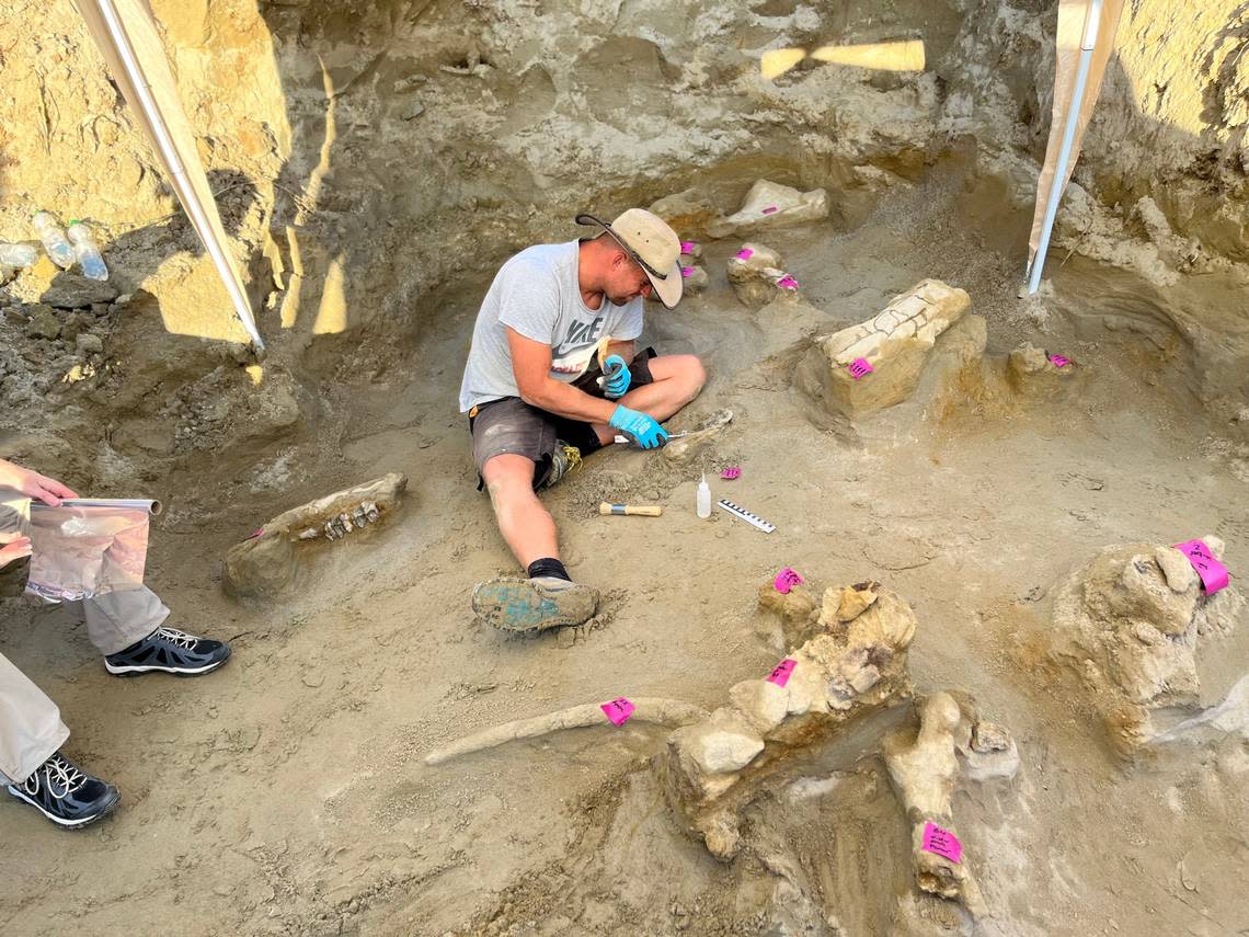 Peter Kapustin, the museum’s curator, in the middle of the elephant bones.