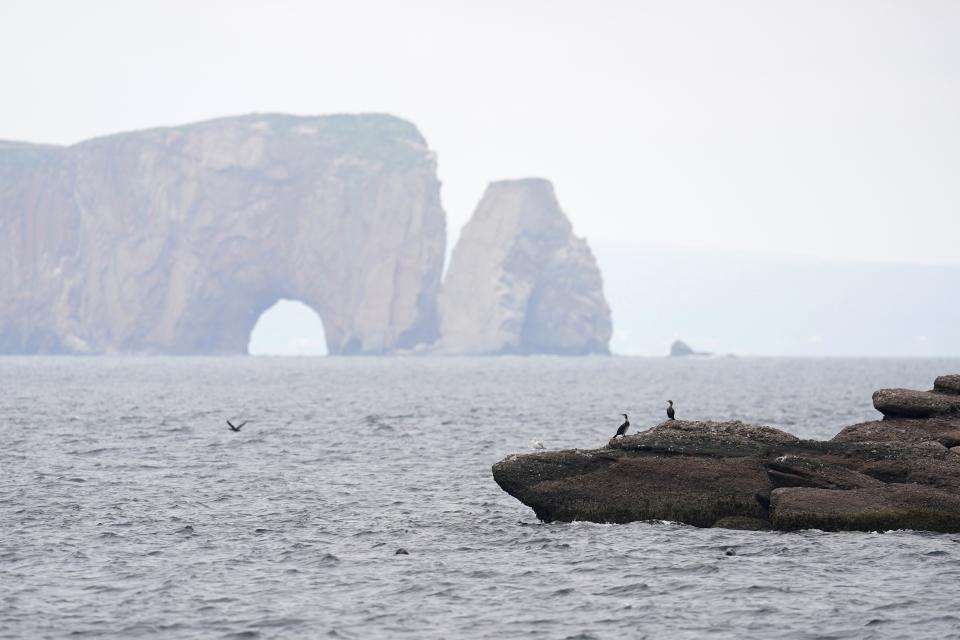 Seabirds perch on a rock jutting from Bonaventure Island with Perce Rock in Perce, Quebec, Canada, in the distance, Tuesday, Sept. 13, 2022. Perce Rock stands as testament to the natural processes of erosion even without climate change. The massive formation sheds hundreds of tons each year. (AP Photo/Carolyn Kaster)