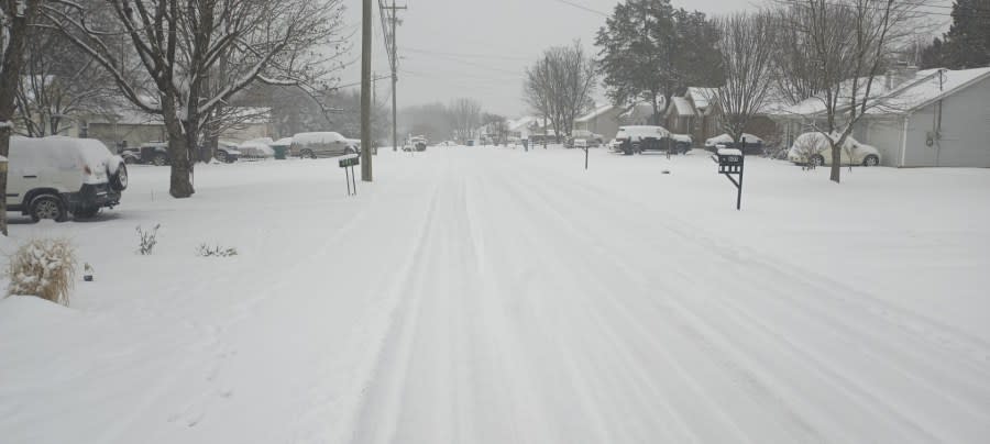 Hollandale Road covered in snow in La Vergne (Courtesy: Darren Rankins)