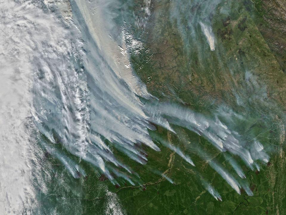 satellite image shows smoke spreading from many points across green land