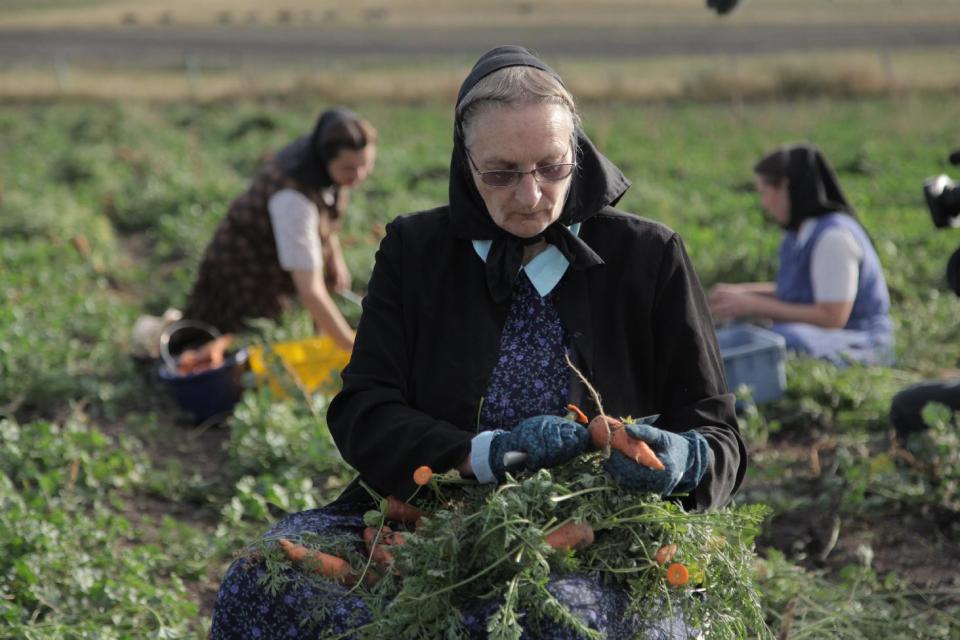 This undated image released by National Geographic Channels shows Hutterite Judy Hofer picking carrots from the garden in King Colony, Mont. "Meet the Hutterites," a National Geographic documentary series about a small religious colony in rural Montana, debuts Tuesday, May 29. (AP Photo/National Georgraphic, Ben Shank)