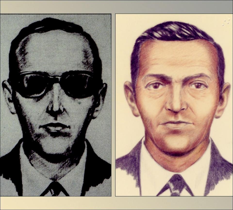 A sketch of the suspect on the FBI’s website (FBI)