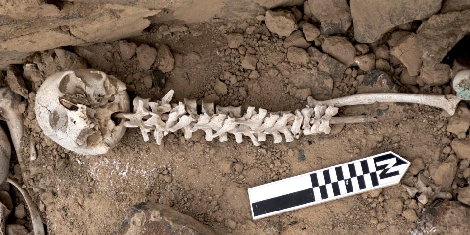 A skull and spine threaded on a post are seen in the field.